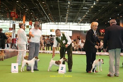 Fox-trot forever - DEEGEE, 1ère Classe JEUNE au Championnat de France 2009